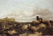 unknow artist Sheep 159 Sweden oil painting artist